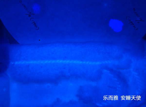手電筒廠(chǎng)家